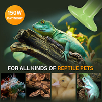 Lampe chauffante en céramique pour maison de volaille, lampe chauffante pour animaux, poussins, tortues, reptiles