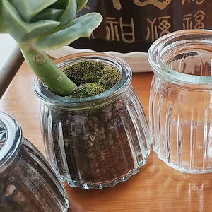 Transparent Glass Succulent <b>Vase</b> <b>Mini</b> Plant Pot Wide Mouth Desktop Use Minimalist Design For Home Decor - Product Image 1