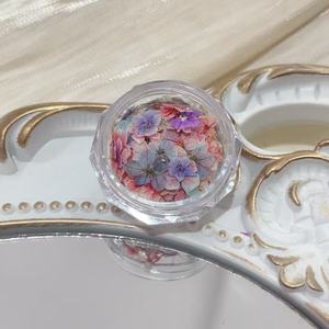 Arte de <span class=keywords><strong>uñas</strong></span> de estilo japonés pequeños estampados florales <span class=keywords><strong>flores</strong></span> secas <span class=keywords><strong>flores</strong></span> prensadas DIY arte de <span class=keywords><strong>uñas</strong></span> decoraciones florales - Product Image 5