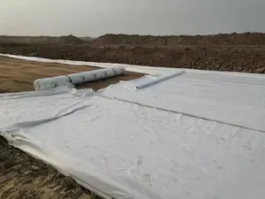 Geosynthetische Kleiliner Met Hdpe Geomembrane Gcl Bentoniet Klei Deken Prijs