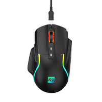 R8 OEM grosir khusus ergonomis isi ulang Rgb BT 2.4Ghz Mouse nirkabel
