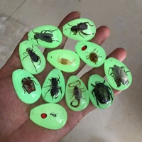 Nouvelle Annonce : Accessoires en Résine Scorpion Scarabée, Moules en Résine pour Spécimens d'Insectes, Breloques Plates en Résine pour Spécimens d'Animaux, pour la Décoration