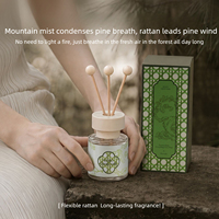 Diffuseur de parfum de luxe pour la maison, coffret cadeau d'aromathérapie avec parfum naturel longue durée pour salon, chambre, toilettes, rafraîchisseur d'air