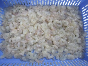Vannamei กุ้งน้ำจืดแช่แข็ง - Product Image 4