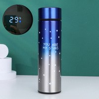 Botol Termal Ramah Lingkungan dengan Logo Kustom, Botol Air Stainless Steel Vakum Berinsulasi dengan LED Pintar Penunjuk Suhu, Termos Vakum
