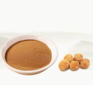 Polvo de extracto de hierbas orgánico de alta calidad, suplemento de hierbas Premium soluble en agua Hericium Erinaceus Premium - Product Image 1