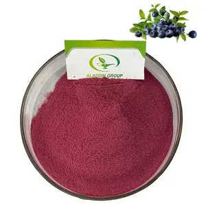 HALAL di alta qualità miglior prezzo mirtillo succo di frutta in polvere polvere di mirtillo essiccato estratto di mirtillo selvatico in polvere