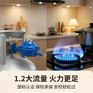 Vanne de réduction de pression de gaz liquéfié Ruyouxin 1/2 pouce, régulateur basse pression antidéflagrant pour usage domestique, norme GB35844 - Product Image 3