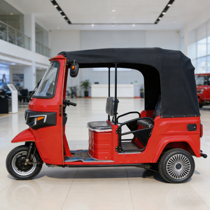 Triciclo para Adultos Bajaj Keke, Carrocería Abierta, Certificado EEC, 60V 1000W, 400kg, 5 Pasajeros - Product Image 3