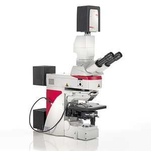 Microscopes verticaux DM4B et DM6B optimisés pour l'imagerie des tissus et des spécimens végétaux, ainsi que pour la pathologie - Product Image 3