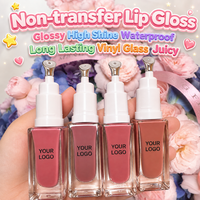 Gloss à lèvres végétalien à marque privée, marron rose, longue tenue, waterproof, hydratant, anti-transfert, effet miroir, haute brillance