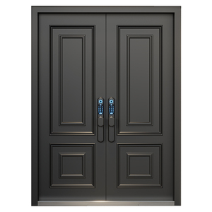 ประตูบ้านสำเร็จรูปแบบเปิดสองบาน ป้องกันการโจรกรรม <span class=keywords><strong>รุ่น</strong></span>ใหม่ปี 2025 สำหรับบ้านพักตากอากาศในชนบท  วัสดุหล่อขึ้นรูปอะลูมิเนียมผสมสังกะสี สไตล์โพสต์โมเดิร์น - Product Image 5