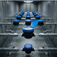 Compteur d'eau numérique intelligent à ultrasons pour tuyaux en plastique LoRaWAN NB-IoT R800, haute plage dynamique, avec batterie de 7 ans