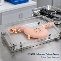 SY-NS19 Endoscopic Training System Gastroduodenal Model with Animal Tissue Assembly for Hands-on Practice