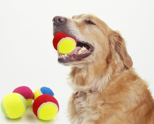 Pelotas de Tenis Personalizadas de 6.35cm y 6.5cm, No Tóxicas, Seguras, Multicolores, con Logotipo Personalizado, Juguete Interactivo para Masticar para Perros, Gran Venta 2026 - Product Image 2