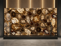 Plaque de pierre polie en agate de bois pétrifié pour panneau mural de réception d'hôtel et surface de table basse ronde sur mesure