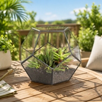 Terrarium en verre géométrique noir fait main, petit pot de fleurs en forme de pentagone pour plantes succulentes, décoration de table, terrarium