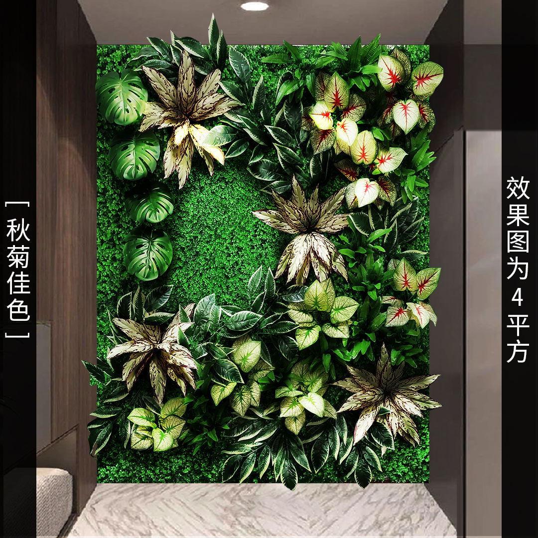 Color de crisantemo de otoño (1 precio cuadrado)