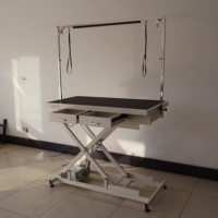 Table de toilettage pour chiens EURVET, réglable en hauteur électriquement, en acier inoxydable, structure en H, pour toilettage professionnel, hôpital vétérinaire, salon