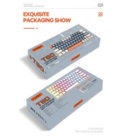 Clavier mécanique personnalisé OEM T60 63 touches, clavier ergonomique de jeu à lumière LED remplaçable à chaud avec câble de type C pour PC portable