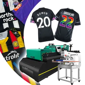 Super Discounts Mini A2 A3 A4 PET Film DTF Printer 60cm 30cm for T-shirt Print With two Epson I3200 Printhead