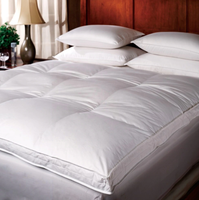 Couverture de matelas Extra épaisse, oreiller en peluche, surmatelas