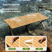 Vente en gros Table de pique-nique de camping pliable et légère pour les activités du parc