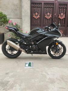 Modèle Kawasaki <span class=keywords><strong>Ninja</strong></span> 250cc pour débutants - une moto à essence d'entrée de gamme pouvant être exportée. - Product Image 2