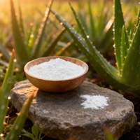 Poudre d'extrait d'aloe vera pur naturel de qualité cosmétique, soluble dans l'eau, 100X, origine végétale artificielle, polyvalente