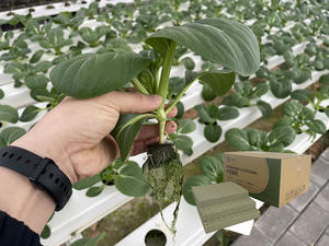 现代小型水培生长立方体蘑菇和大麻种子用高效种子种植 - Product Image 2