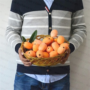 Arrangement floral artificiel Fournitures Accent décoratif de fruits de Loquat artificiel pour les maisons et les bureaux modernes - Product Image 2
