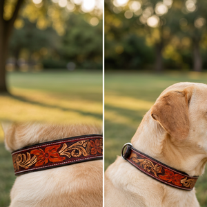 Collier pour chien en cuir pleine fleur de qualité supérieure pour marque privée, vente en gros par Divine International India - Product Image 1