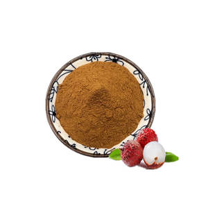 Bột vải khô chiết xuất thảo dược, hương vị vải tự nhiên, cấp thực phẩm, tỷ lệ 10:1, hòa tan hoàn toàn trong nước, đóng gói thùng. - Product Image 1