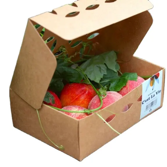 Venta al por mayor caja de papel corrugado de tomate de Apple fruta fresca de embalaje impreso personalizado buen papel caja de fruta