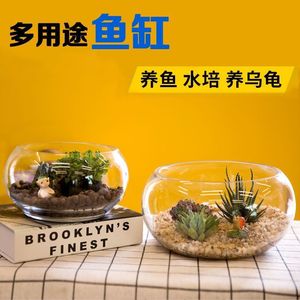 Petit aquarium en verre épais pour salon, transparent, adapté à un usage domestique, culture hydroponique de lotus, bureau - Product Image 5