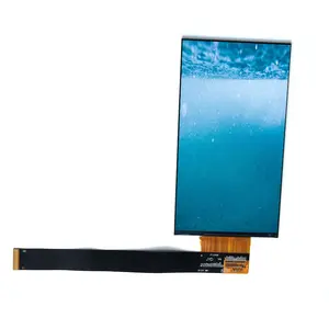 2K FHD Ips Tft Lcd Display 5.98 Inch 1440x2560 High Resolution MIPI 30pins Tft Lcd Module Optional Driver Board For 3D Printer