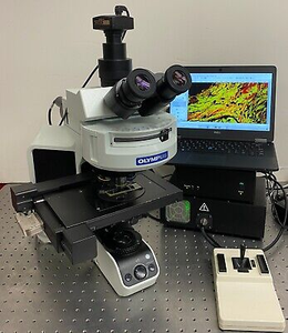 올림푸스 브랜드 삼안 생물학 현미경 Bx53 반 동력 형광 현미경 - Product Image 5