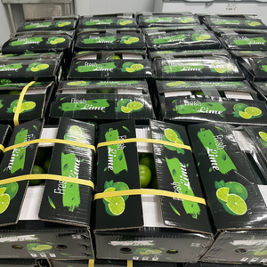 Limones frescos sin semillas de Vietnam, jugosos y aromáticos, perfectos para una vida saludable, exportados a todo el mundo, productos seguros y certificados - Product Image 1