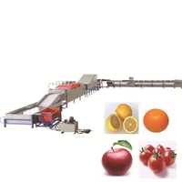 Máquina Automática Clasificadora de Frutas y Verduras, Clasificadora de Tamaño de Naranjas, Cerezas y Dátiles, Máquina Clasificadora de Papayas