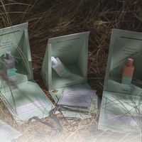 Staubfreie Fabrik Maßgefertigte Luxus-Duftdiffusor-Verpackungsbox