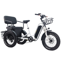 Tricycle adulte de haute qualité à 3 roues de 20 pouces avec pneus larges, moteur à moyeu arrière, batterie au lithium pour femmes, seniors et hommes