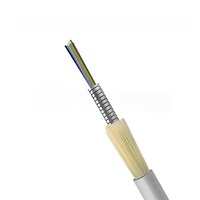 Câble blindé en spirale en acier inoxydable 304 avec gaine en nylon ignifuge pour intérieur, dédié aux urgences FTTH, fabriqué par ZXOFC Source Factory