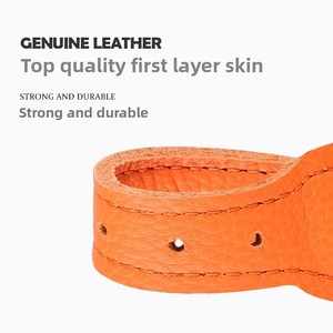 Collar de moda al por mayor para perros, de material Cortex, con correa de tracción, suministros de fábrica transfronteriza <span class=keywords><strong>Dego</strong></span> Guangdong - Product Image 2