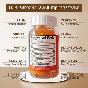 OEM diyet takviyesi organik Chaga Reishi uyku mantar Gummies Adaptogen Nootropic aslan Mane süper mantar Gummies - Product Image 2