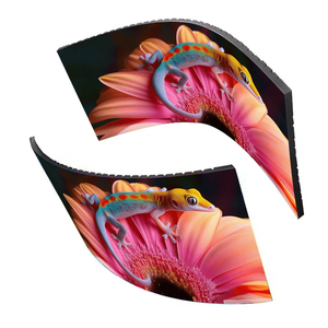 Écran LED flexible incurvé pour extérieur, panneau d'affichage 4 mm de pixel, étanche IP65, 5000 cd, pour montage mural publicitaire - Product Image 5
