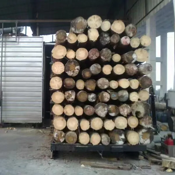 China Made High Quality Wood Drying Kiln Timber Drier Dried Teak Logs