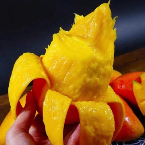 Cina all'ingrosso <span class=keywords><strong>mango</strong></span> fresco di alta qualità <span class=keywords><strong>mango</strong></span> dolce <span class=keywords><strong>mango</strong></span> piccola fossa <span class=keywords><strong>mango</strong></span>
