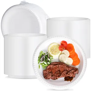 YANGRUI Reusable Plastic Plates 9 Inch BPA Free White Dinner Plates MFPP Disposable Plates