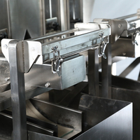 Machine d'emballage de riz automatique, 1kg, 2kg, 5 kilos, machine de remplissage linéaire à deux têtes