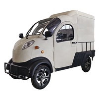 Petit camion électrique à quatre roues à énergie nouvelle économique et facile à utiliser, fourgonnettes à grande puissance pour l'Europe